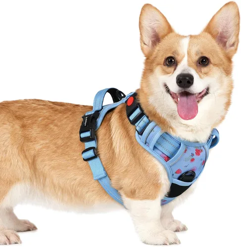Vista 29 de Rabbitgoo - Arnés para perro de tamaño pequeño, arnés para mascotas sin tirones con 3 hebillas, chaleco acolchado suave ajustable con mango