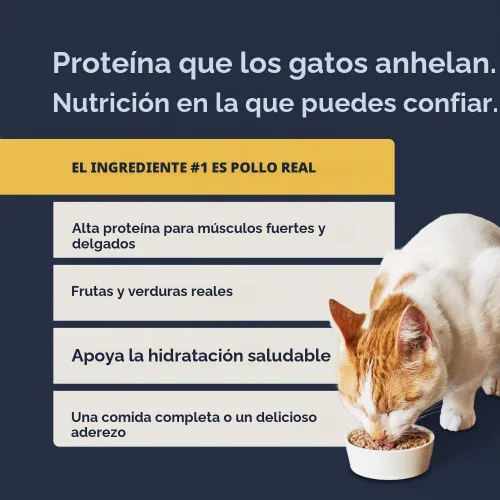Vista 5 de Instinct Original Paté - Alimento húmedo para gatos, receta sin granos, pollo real, 3 onzas (paquete de 24)
