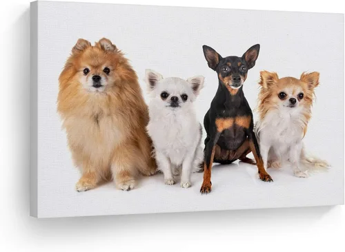 Vista 9 de Diseño de arte de la sonrisa Retrato de lindo Yorkie Yorkshire Terrier perro animal lienzo de pared impresión arte del dueño de mascotas amante