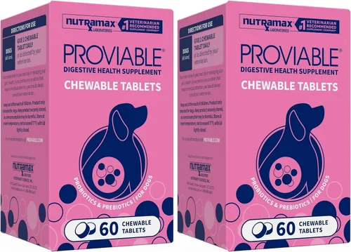 Vista 12 de Nutramax Probióticos Proviable para perros, Suplemento diario de salud digestiva con múltiples cepas de bacterias, probióticos para perros más