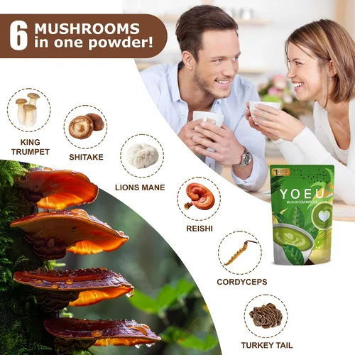 Vista 2 de 6.35 oz, polvo orgánico de hongos matcha, matcha japonés y 12 ingredientes naturales, café instantáneo, polvo con leche, alternativa al café