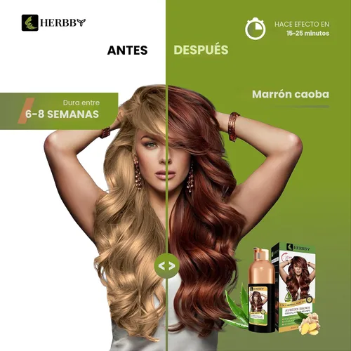 Vista 2 de HERBBY Champú con color para cabello gris para cobertura y transformación del color con 9 extractos herbales – De larga duración (6-8 semanas)