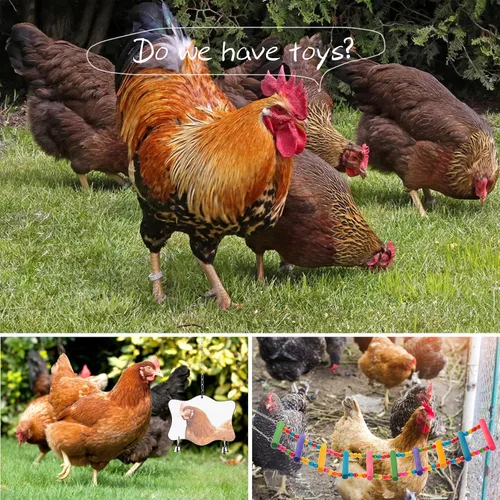 Vista 6 de Juguetes de pollo para gallinero, juego de 12 piezas, juguetes de enriquecimiento de pollo, incluye xilófono, juego de columpio, juguete de espejo