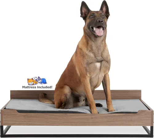 Vista 8 de Milo - Cama elevada de madera para perros con colchón de espuma suave, tamaño pequeño