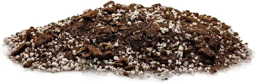 Vista 5 de GARDENERA Mezcla de tierra para macetas de aloe vera prémium (bolsa de 2 cuartos de galón)