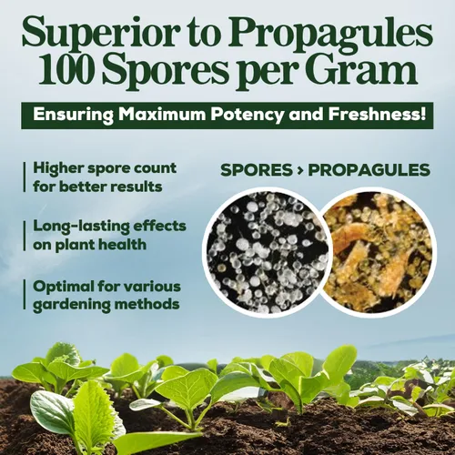 Vista 5 de Potenciador de raíces de hongos micorrízicos orgánicos para plantas, súper potente 100 esporas por gramo, mezcla de 5 cepas, resultados rápidos