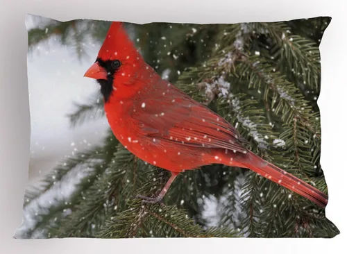Vista 84 de Lunarable Juego de 2 fundas para almohada de otoño, tema vintage otoñal con estilo granja, ilustración de flores silvestres, artículo de cama