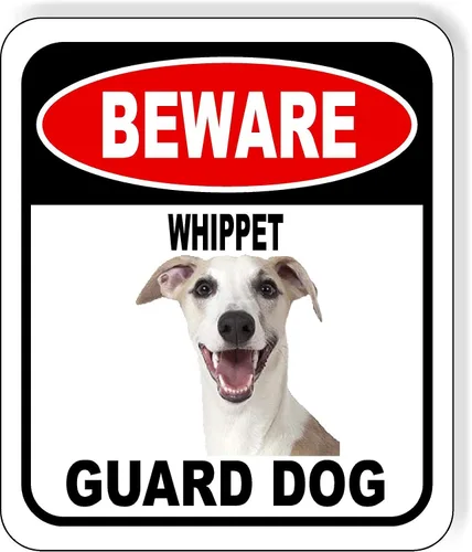 Vista 65 de BEWARE BASSETT HOUND GUARD DOG - Letrero compuesto de aluminio para exteriores, 8.5 x 10 pulgadas CUIDADO BASSETT HOUND GUARD PERRO