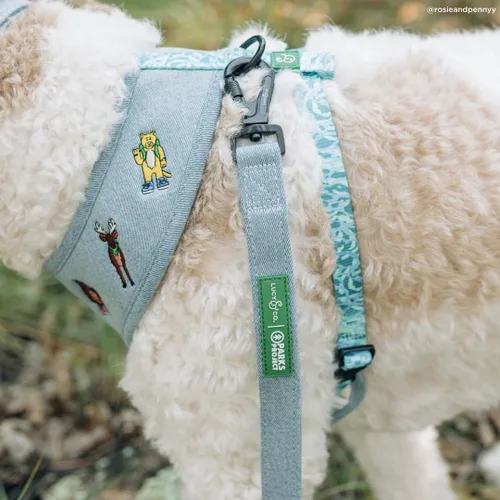 Vista 7 de Lucy & Co. x Parks Project Adventures with Friends - Correa para perro, talla S Aventuras con amigos