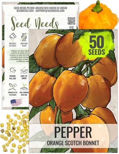 Vista 94 de Seed Needs - Semillas de pimiento arcoíris para plantar verduras, 1 paquete