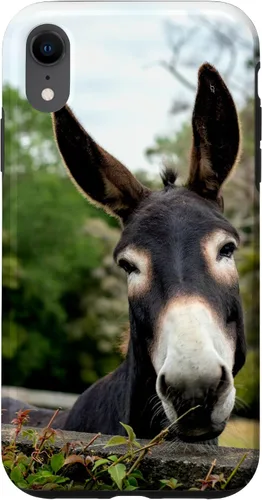 Vista 25 de Funda Donkey para iPhone 17