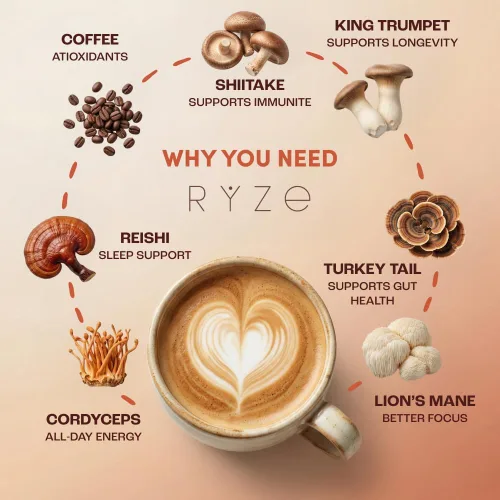 Vista 4 de RYZE SUPERFOODS - Café de tostado medio de hongos orgánico USDA con 6 hongos adaptogénicos, café instantáneo cultivado en Estados Unidos para una