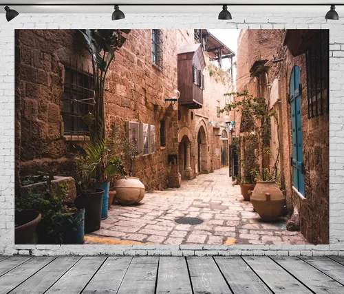 Vista 4 de BELECO Telón de fondo de tela de 5 x 3 pies, diseño de calle de la ciudad vieja, Israel, casas de piedra, macetas, nostalgia, fotos, fondo