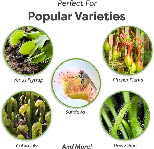 Vista 3 de Perfect Plants Suelo para plantas carnívoras Mezcla orgánica premium Uso con trampas para moscas Venus, plantas de jarra u otras plantas