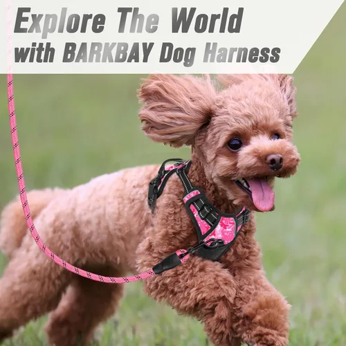 Vista 238 de BARKBAY - Arnés para perro sin tirones con clip frontal, material resistente y reflectante, asa de fácil control para pasear perros grandes