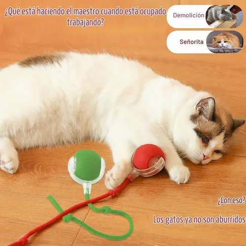 Vista 5 de 2025 Nuevos Juguetes Interactivos para Perros y Gatos, Bolas Interactivas, Juguete de Bola Rodante para Gatos, Bola de Mascota Automática