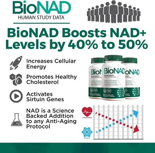 Vista 2 de BioNAD NAD+ - Potenciador de energía natural - Aumenta el NAD+ y apoya la salud general - Antienvejecimiento - Combate el envejecimiento inducido