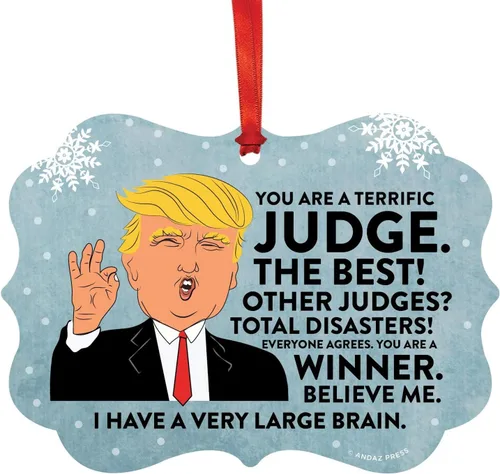 Vista 42 de Andaz Press Presidente Donald Trump Fancy Frame Recuerdo Adorno de Navidad Regalo de broma, excelente contador, 1 paquete, divertidas ideas
