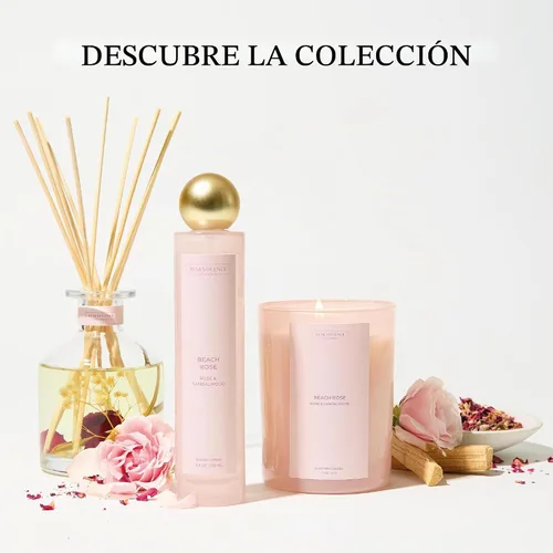 Vista 7 de Benevolence LA Difusor de junco, difusor de aroma de rosa y sándalo para el hogar con varillas difusoras de aceite Colección Sun-Kissed