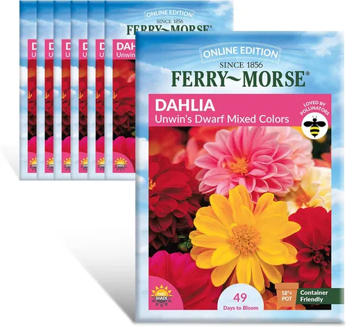 Vista 8 de Ferry-Morse Edición Online Bean Blue Lake Bush 274 Semillas Orgánicas Multipack – Paquete de 8