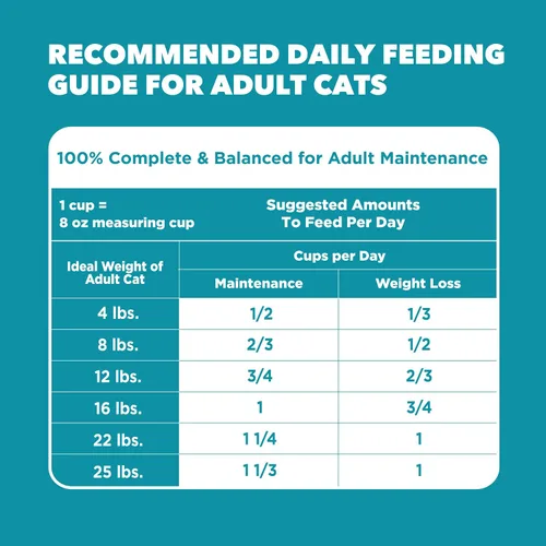 Vista 8 de Iams Proactive Health Adult Indoor Weight & Hairball Control Comida seca para gatos Vet-recommended, Real Chicken #1 Ingredient, Proprietary Fiber