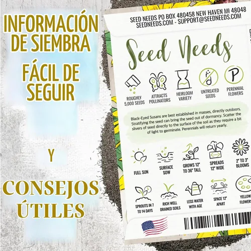 Vista 2 de Seed Needs - Semillas de flores para plantar Black Eyed Susan, paquete a granel de 1.5 onzas