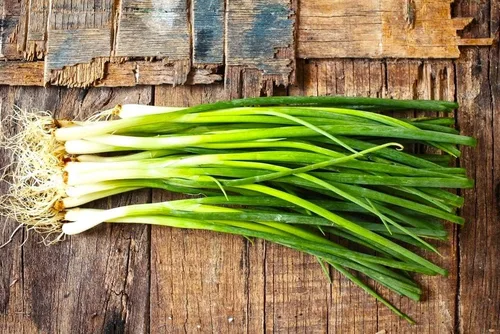 Vista 4 de Semillas de cebolla verde en racimo de cebolletas alrededor de 300 semillas sin OMG para plantar