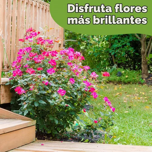 Vista 6 de Perfect Plants - Mezcla especial para plantar rosas Nutrientes prémium para rosas en flor como Drift, Knockout y reliquia (4 cuartos de galón)