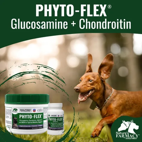 Vista 3 de Dogzymes Phyto Flex - Glucosamina, condroitina, MSM y ácido hialurónico... (8 onzas)