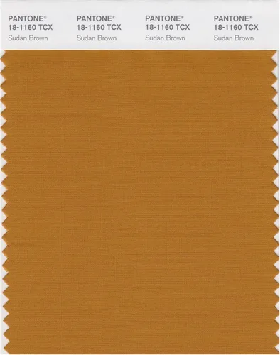 Vista 21 de PANTONE Tarjeta de muestra de color inteligente 18-1314X, bellota