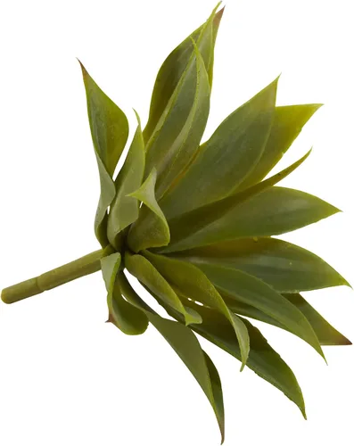 Vista 4 de Nearly Natural 6110-S12 Planta suculenta de agave, mini, juego de 12