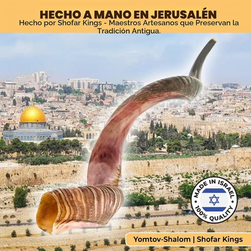 Vista 7 de YOMTOV-SHALOM Kudu Shofar a la venta Kosher de Israel Reyes Shofar Fábrica original de Shofar (13-18)
