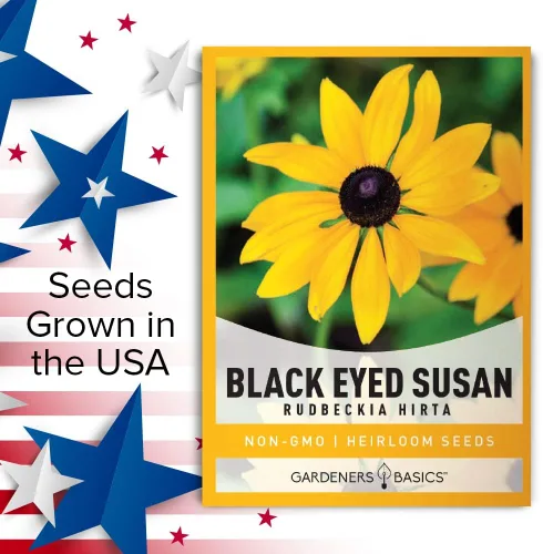 Vista 5 de Gardeners Basics, Black Eyed Susan Seeds para plantar, semillas de flores Rudbeckia Hirta para jardines de flores cortadas, hermosas flores