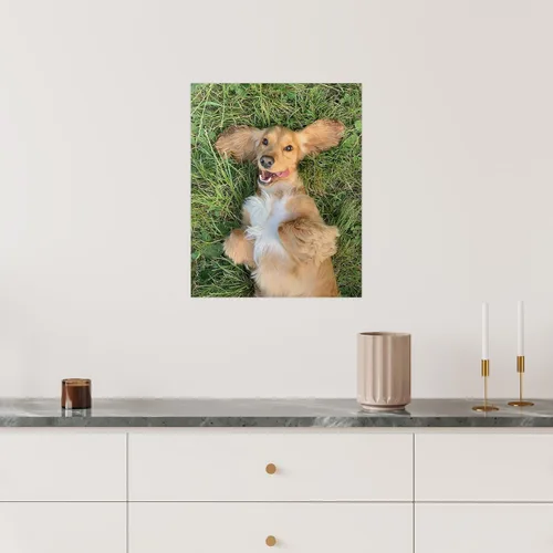 Vista 2 de SIGNFORD Mural de pared personalizado con tus fotos, papel tapiz extraíble, decoración de pared personalizada para dormitorio, sala de estar, 8 x 10