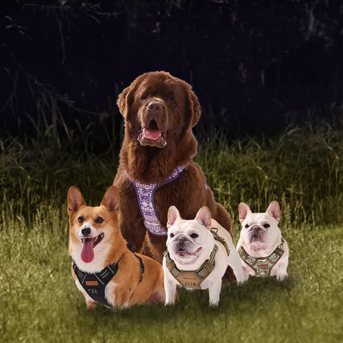 Vista 2 de Arnés para perro sin tirones, chaleco ajustable para perro para caminar fácilmente, material Oxford transpirable, arnés reflectante para mascotas