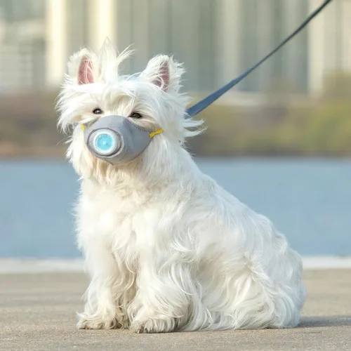 Vista 6 de Cubrebocas protector transpirable para perro, para polvo, 5 filtros, ajustable, cara de perro pequeño para contaminación al aire libre, bozal ligero