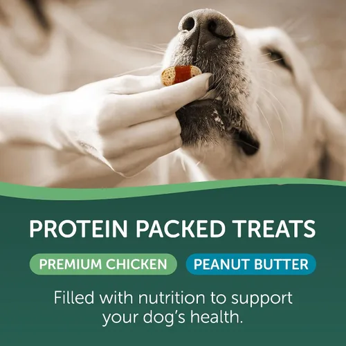 Vista 4 de HEALTHFULS Galletas para perros con sabor a pollo y mantequilla de maní, 16 onzas, (paquete de 2)