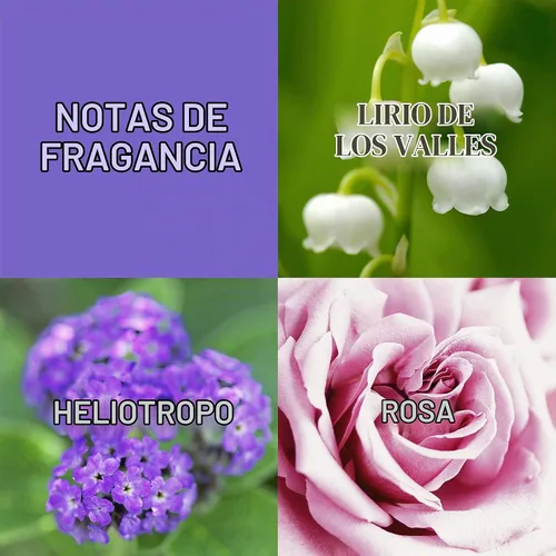 Vista 2 de Paul Sebastian Perfume casual para mujer, aroma de día o noche, Eau de Parfum, 4.0 fl oz