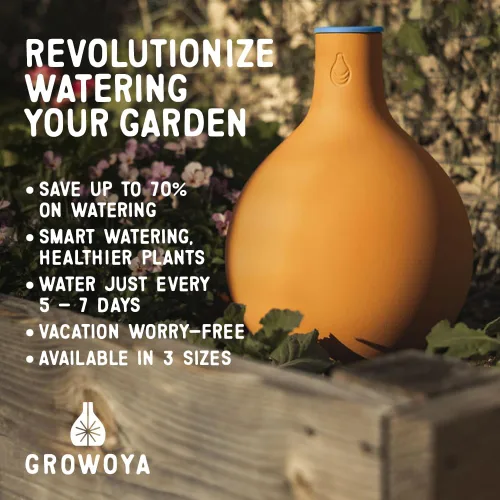 Vista 3 de Growoya Jardín OYA Tarro de Riego Mediano Sistema de Riego para Plantas de Jardín Sostenible Tradicional Olla de Riego Inteligente Riego Subterráneo