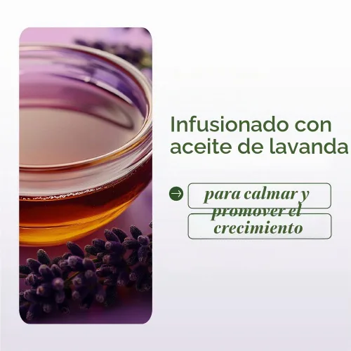 Vista 7 de ORS Aceite de oliva Braidzone Herbal Cleanse Dry Shampoo con lavanda y aceite de acai para nutrición, 8 onzas
