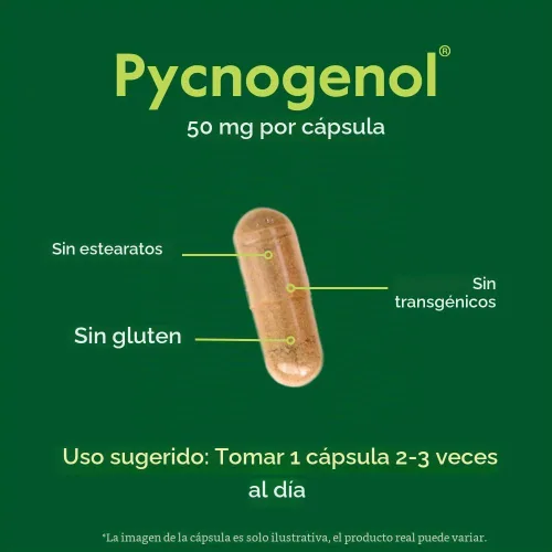 Vista 5 de BESTVITE Pycnogenol 50mg (60 cápsulas) - Extracto de corteza de pino