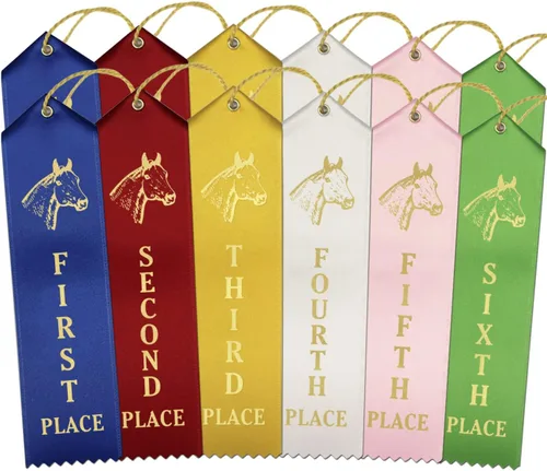 Vista 8 de RibbonsNow Cintas de espectáculo de caballos 1er - 6º lugar - 72 cintas en total - 12 cada lugar con tarjeta y cuerda