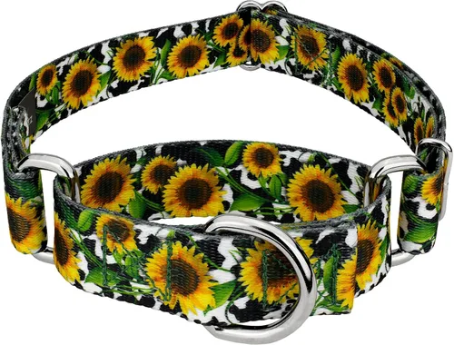 Vista 18 de Country Brook Petz - Collar de perro Albuquerque Martingale - Colección Country and Western con diseños rústicos (1/2 pulgada, 2XS)