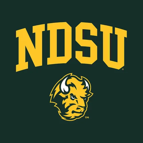 Vista 331 de NCAA Arch Logo, camiseta juvenil color del equipo, universidad - universidad