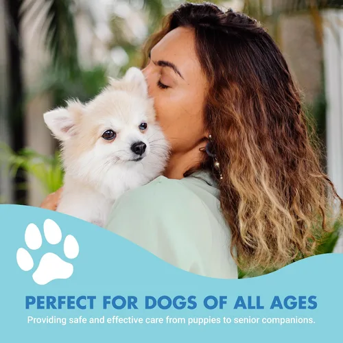 Vista 7 de LIQUID-VET Suplementos avanzados de dientes y encías para perros Cuidado dental para perros Cuidado bucal bucal sarro + placa + gingivitis