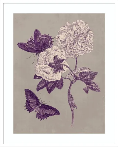 Vista 8 de Amanti Art Lienzo decorativo para pared, 24 x 20 pulgadas, estudio de la naturaleza en ciruela y gris pardo IV por Maria Merian, arte de pared