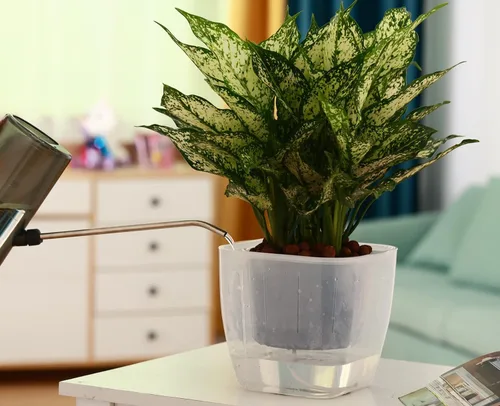 Vista 9 de Paquete de 3 macetas transparentes de riego automático de 7 pulgadas para plantas de interior, macetas grandes de violeta africana, macetas