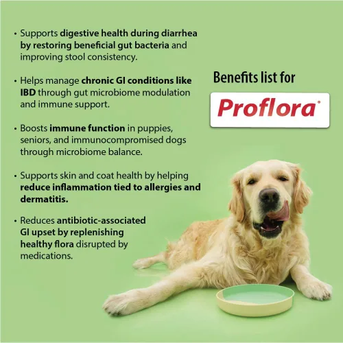 Vista 4 de Probióticos diarios y prebióticos para perros, apoya la salud digestiva y el sistema inmunológico, 30 sobres de polvo, 1.06 onzas (paquete de 1)