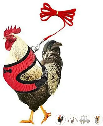 Vista 11 de Juego de arnés y correa para pollo, malla ajustable, transpirable, arnés de entrenamiento de pato, correas para mascotas, correas para ganso Negro