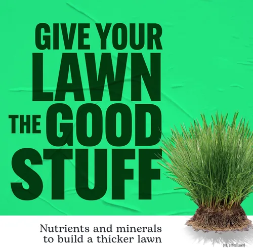 Vista 4 de Scotts Turf Builder - Alimento para césped, 15.8 libras.